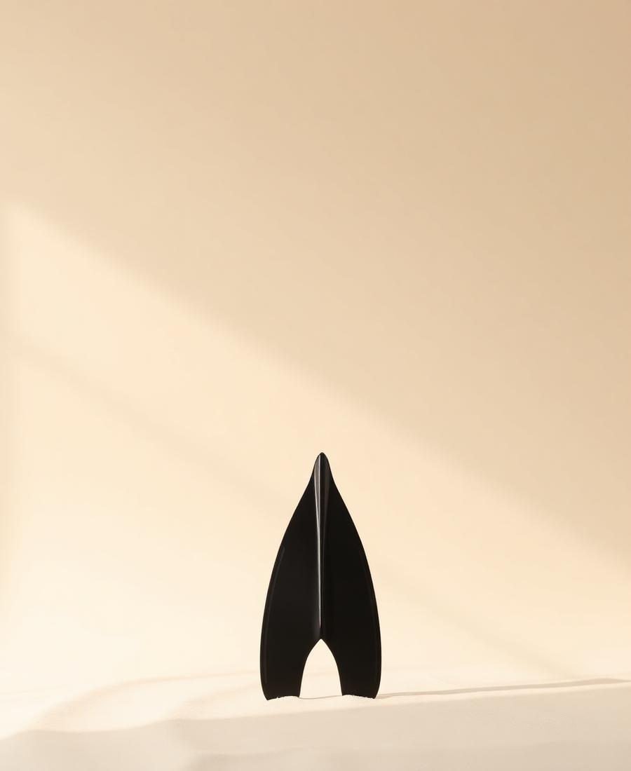 Vaadhoo Carbon Long Fin